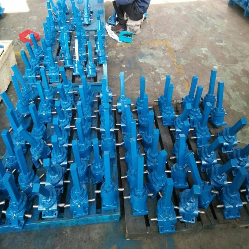 HKD10T-8-AR-300-B-P螺旋丝杆升降机 蜗轮蜗杆升降机 质量保障