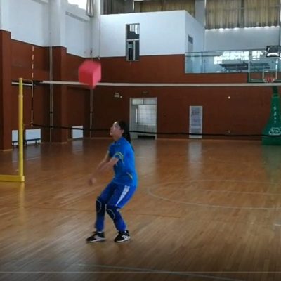 SOEZmm一传不规则体SPASIR1 练习垫球球感排球趣味训练辅助器材