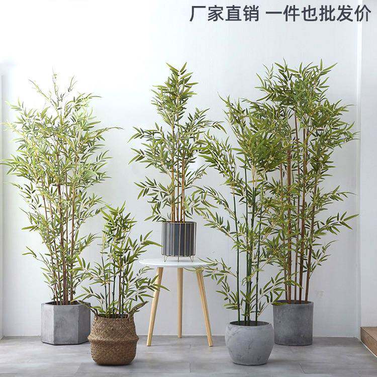 细水毛竹假竹子室内庭院装饰假绿植盆景盆栽造景植物仿真竹子盆栽