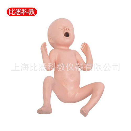 高级30周早产儿模型