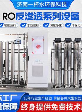 RO软化水净水设备0.25吨0.5吨1吨ro去离子直饮超纯水反渗透设备