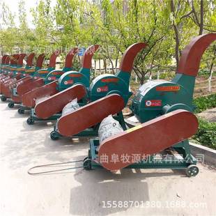 小型揉丝机视频饲草揉丝机高粱秸秆粉碎揉搓机价格