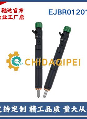 EJBR03101D全新共轨喷油器28喷232251适用于德尔福429油器全新品