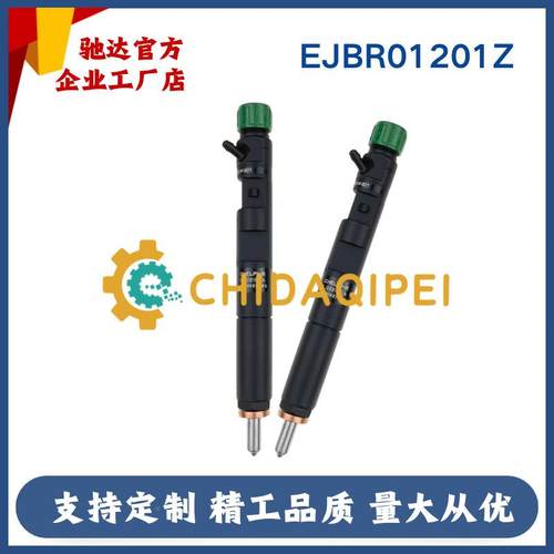 EJBR03101D全新共轨喷油器28喷232251适用于德尔福429油器全新品