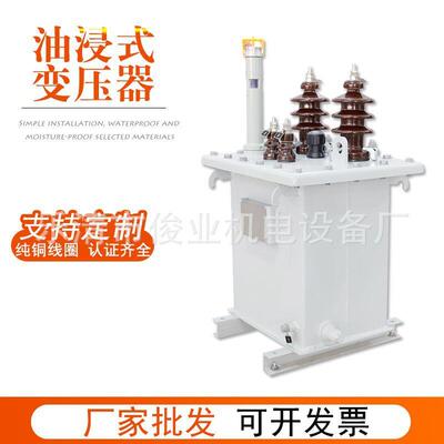 单相电力油浸式变压器D-5/10-0.235KV保护装置稳定耐用