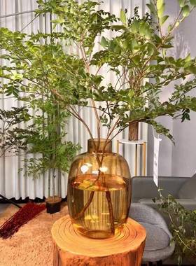 落肚地装饰厚雪柳ODP插花器特厚大马红醉木客约厅网简现代摆件