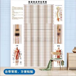 瑜图体态估表伽纸BTLMCAYO位体脂图体姿体体测馆墙贴评网格健身房