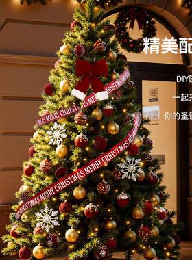 20y6新款圣诞树75SD=ZH0家用客厅大型2仿摆件圣诞节in真s风装饰di