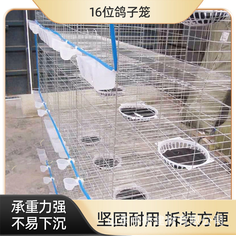 养殖笼小鸡笼子专用蛋鸡笼加密加粗防跑四层立体养鸡设备育雏笼子