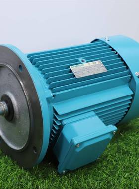 苏南牌铸铁物流设备传送带常州减速1450rpm4极电动机静音