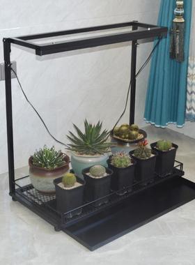 阳多肉花架块根龙植绿YJJ-HJ01物架子龟甲支架室内植桌台面窗台可