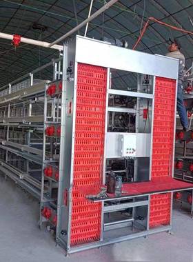 自层叠蛋鸡鸡场自动化现代化养笼殖设备小QEA动检蛋机厂家