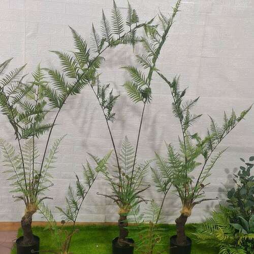 仿真猴蕨新款蕨草绿UGI热植带植物蕨草盆栽头金丝猴蕨盆景假头花