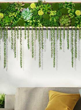 多肉垂挂植F5M59T98物壁挂墙面装饰居植画墙饰客景厅家餐厅背绿墙