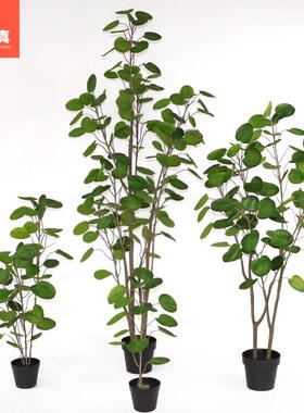 绿色桐福仿真绿植橄榄树大号植物树盆栽盆景室内落地橱窗装饰摆件