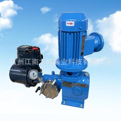电冲程计量泵自动控制计量泵电动调节计量泵C4F6计量泵R23计量泵