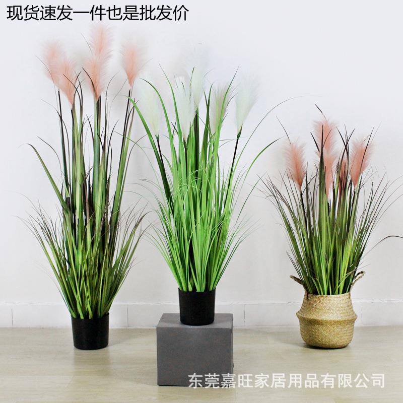 北欧绿植仿真芦苇盆栽干花假花道具水生植物蒲苇落地盆景真
