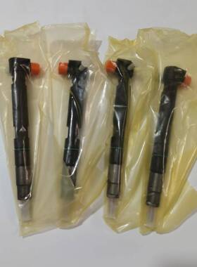德尔福28337917喷油器斗山400903-00074D喷油器