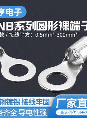紫铜冷压端头无绝缘护套圆形端子焊口RNB铜线鼻接线冷压接线端字