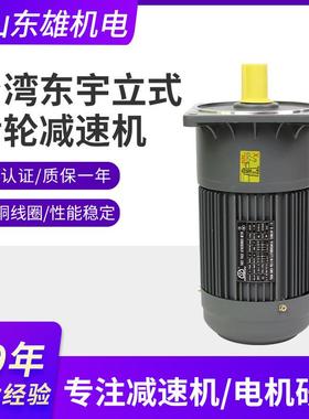 现货GV28-0750-25S3立式齿轮减速机全铜线圈低噪平稳减速机电机