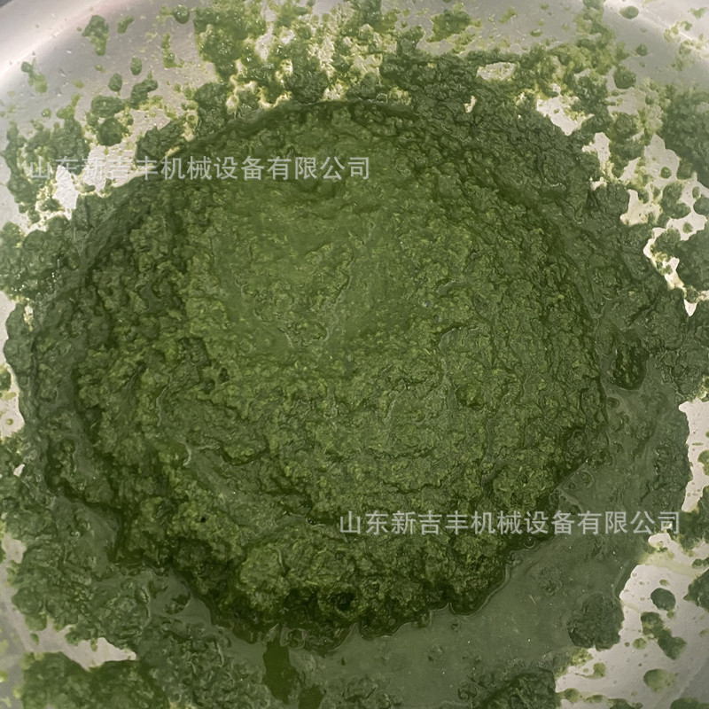 生产批发304不锈钢水果打浆机荠菜蔬菜榨汁机草莓山楂打浆机
