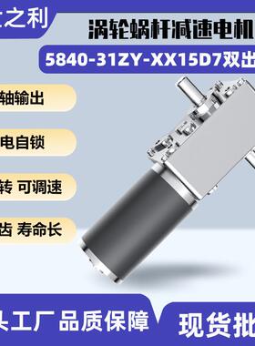 5840-31ZY直流减速电机涡轮蜗杆24V双出轴有刷微型电动机12大功率
