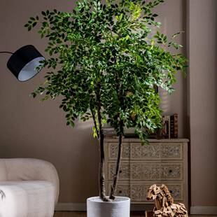 仿真榆钱树金钱榕假树高端轻奢绿植大型植物室内客厅落地装饰摆件