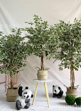 仿真SB-ZGRS-树杆白边小叶榕树室内假树仿真装饰大型植物场落真地