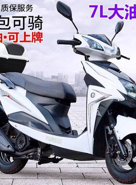 托全电喷125尚领摩车踏板燃油机车外卖省油越野整车新助力91551C