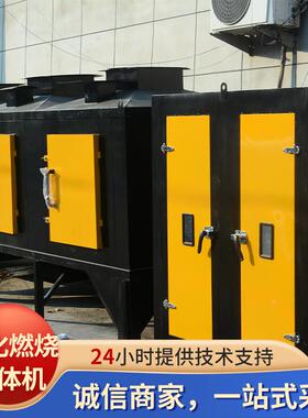 沸石转轮设备TBBZ热式热力焚烧炉废气设备蓄分子R筛沸O石转轮一体