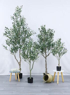 北欧风ins仿真盆橄榄C301树小盆栽室内客厅落地装饰树栽仿真树假