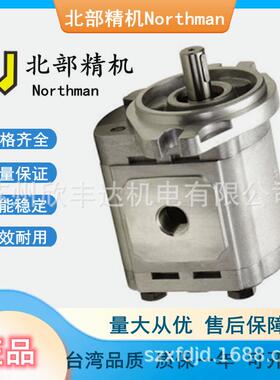 台湾Northman齿轮泵2GG1P30R 2GG1P33R 2GG1P28R北部精机液压泵