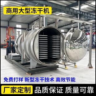 林蛙油低温真空冷冻干燥机 松茸片冻干设备 生姜洋姜片真空冻干机