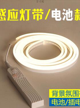 电池插电充电人体感应灯带自粘led灯条客厅卧室床头柜镜子氛围灯