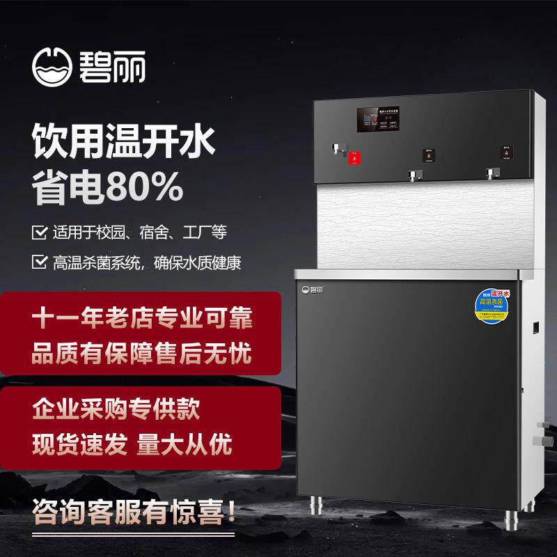 碧丽温开水机节能商用学校工厂直饮水饮水机净水设备带RO