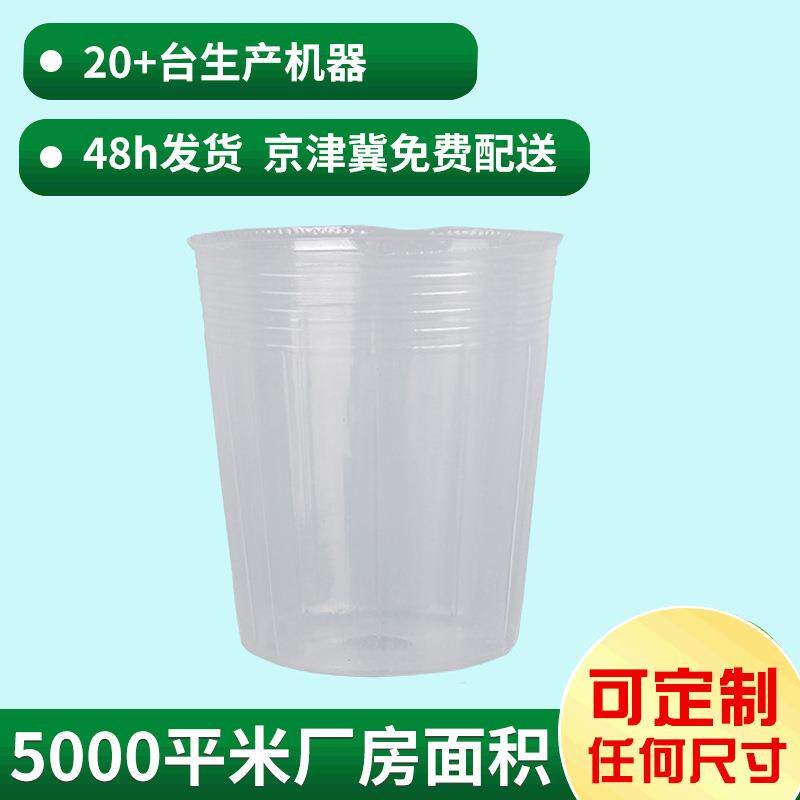 透明育苗盆一次性塑料花盆兰花营养钵种植园艺蝴蝶兰育苗杯