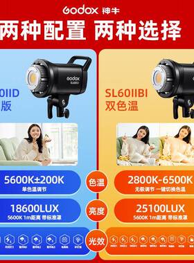 Godox灯SL6IISL60IIDD二代LED补光温双色可调视频拍摄采访直播0人