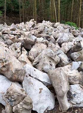 院园林太湖石假石别墅庭景观石121301风景石产地灵璧山石