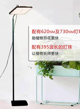 全物光谱多肉花室内植物补光灯阳台叶卉菜植生LEY长灯太阳光增谱