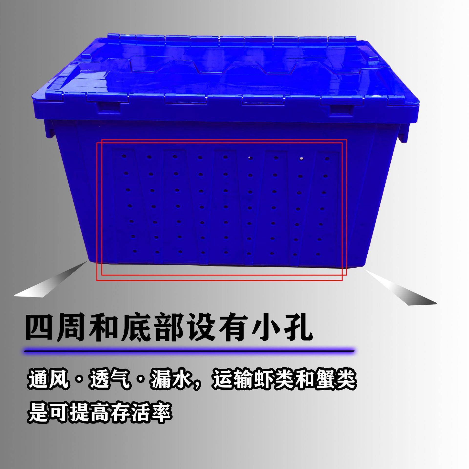 有孔水带插盖漏平底斜插式物箱流箱配NMA送专用塑料周转斜塑料箱