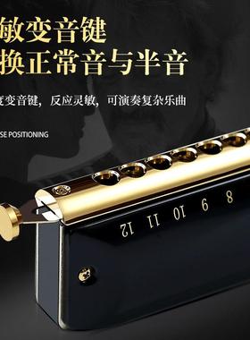 光半音阶口琴10国/12YRG/学16孔成人儿童入门乐器初学者演生专业