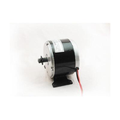 厂/家M号Y10425型2V250W小海豚有WKU刷电动车高速电机马达