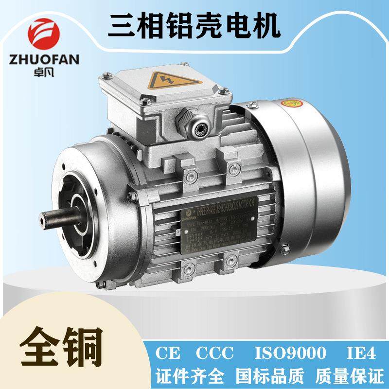 三相铝壳电机异步IE4能效新国标二级效率电动机,鲜花速递/花卉仿真/绿植园艺,割草机/草坪机,淘宝优惠券,粉丝福利购,淘宝优惠卷