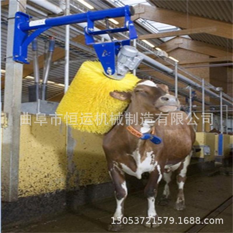 悬挂式自动感应牛体刷奶牛电动自动按摩刷挠痒痒