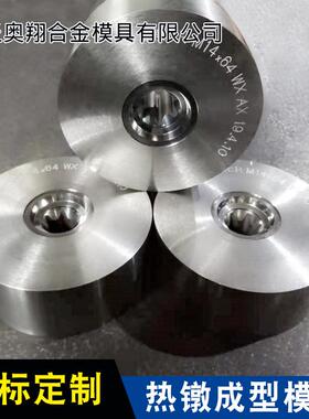 热镦型模具模具标件模具配件凸OAY模准精密冲模成检具精密件