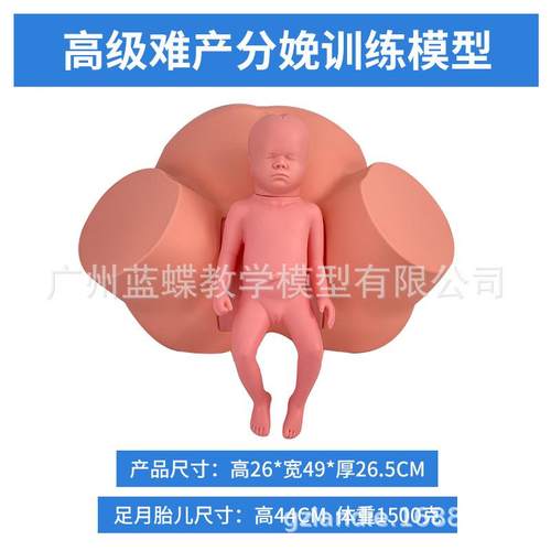 分型娩示教模型高级难产教训练模妇产科教难产助产分娩学模460示