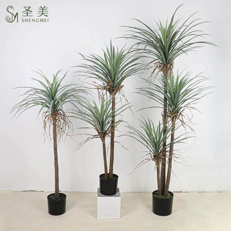 仿真绿植盆栽狭SM叶龙树夹叶龙树舌兰丝兰马血尾铁针铁树橱葵窗装