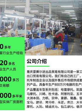 摩托点火器配件GT250RNa-kedV2S-250GT250R车0307GV2GT250R50CDI