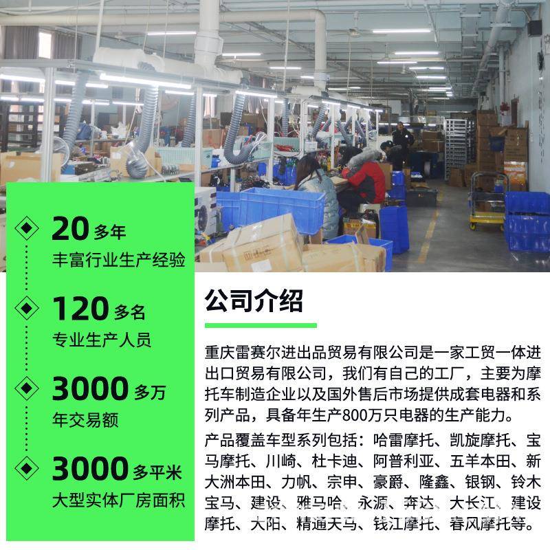 摩托车点火器配件GT250RNakeGT250RVd2S-250GT250R0307GV250-CDI