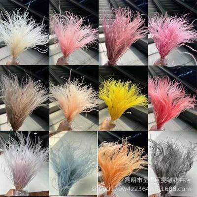 小材花束配柔丝浪漫草花干花YMC羽材毛草仙气飘飘